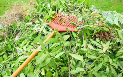Débroussaillage, taille des haies et des arbres, et interdiction du brûlage des déchets verts à l’air libre