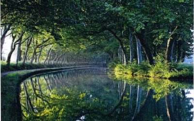 Samedi 7 avril : opération « Mon canal propre »
